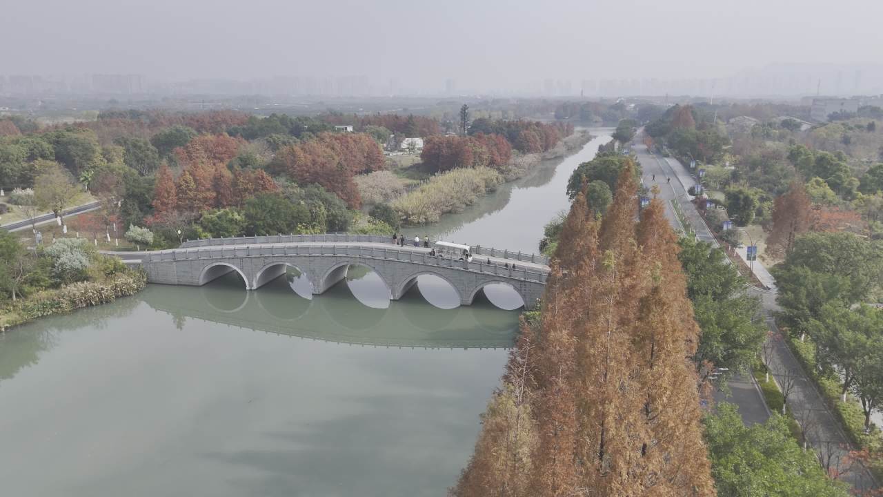 冬日的湿地 18