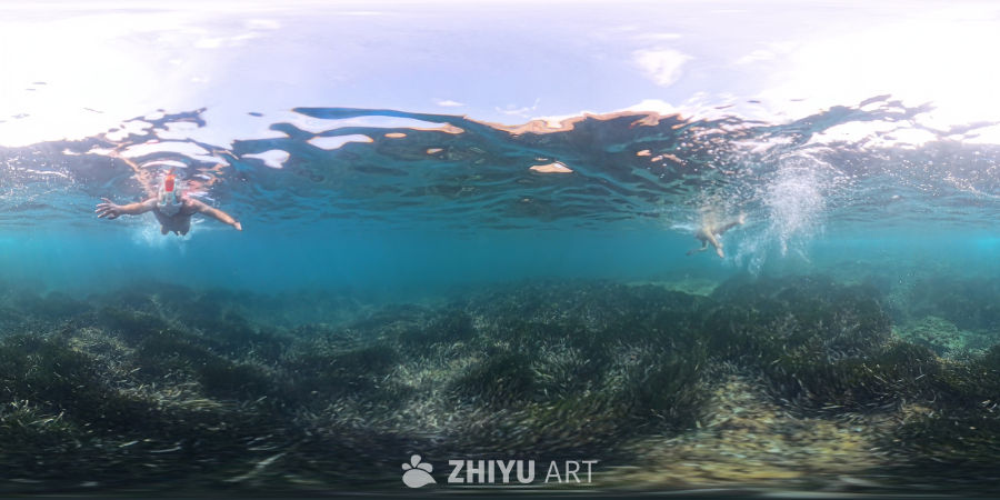 阳光下的海中漫步