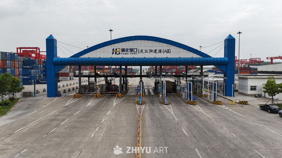 武汉阳逻港区 7