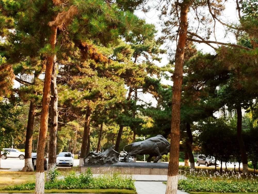 东北大学风景