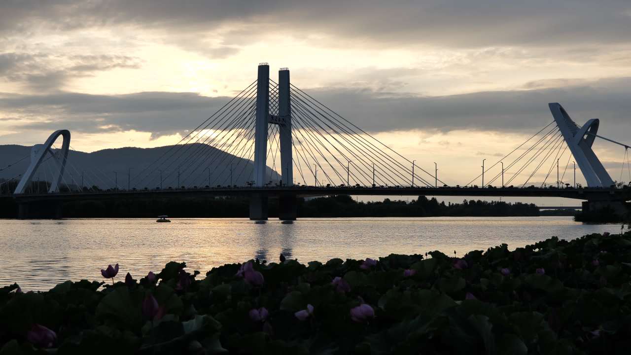夕阳下的大桥 3