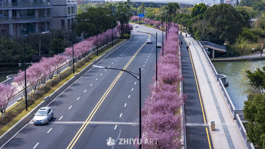 城市春日风景