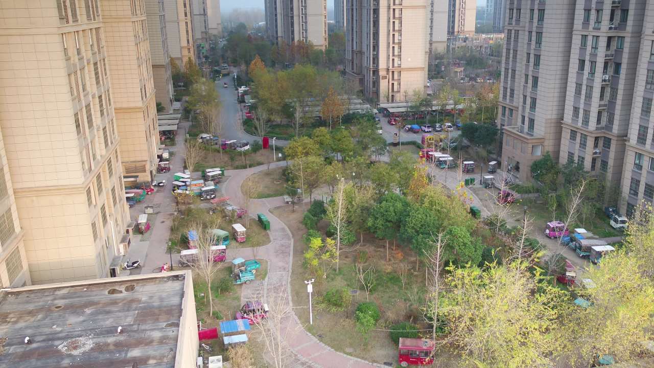 晨曦中的城市绿洲