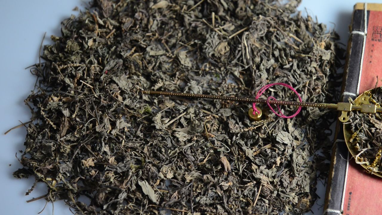 中药材车前草 1