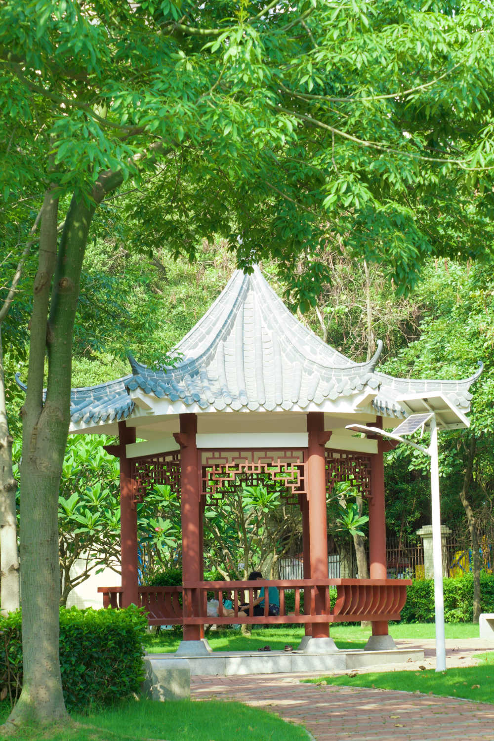 公园里悠闲纳凉