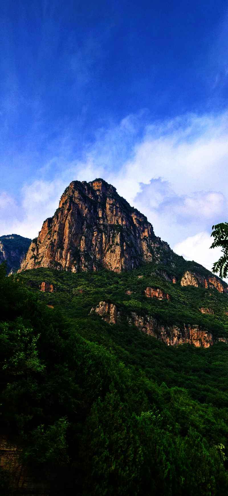 山