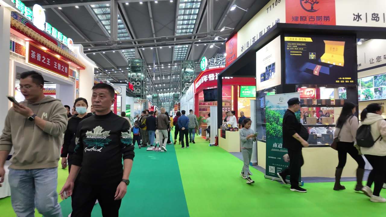 深圳茶博会素材 11