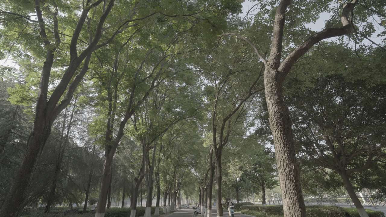宜昌江边 94