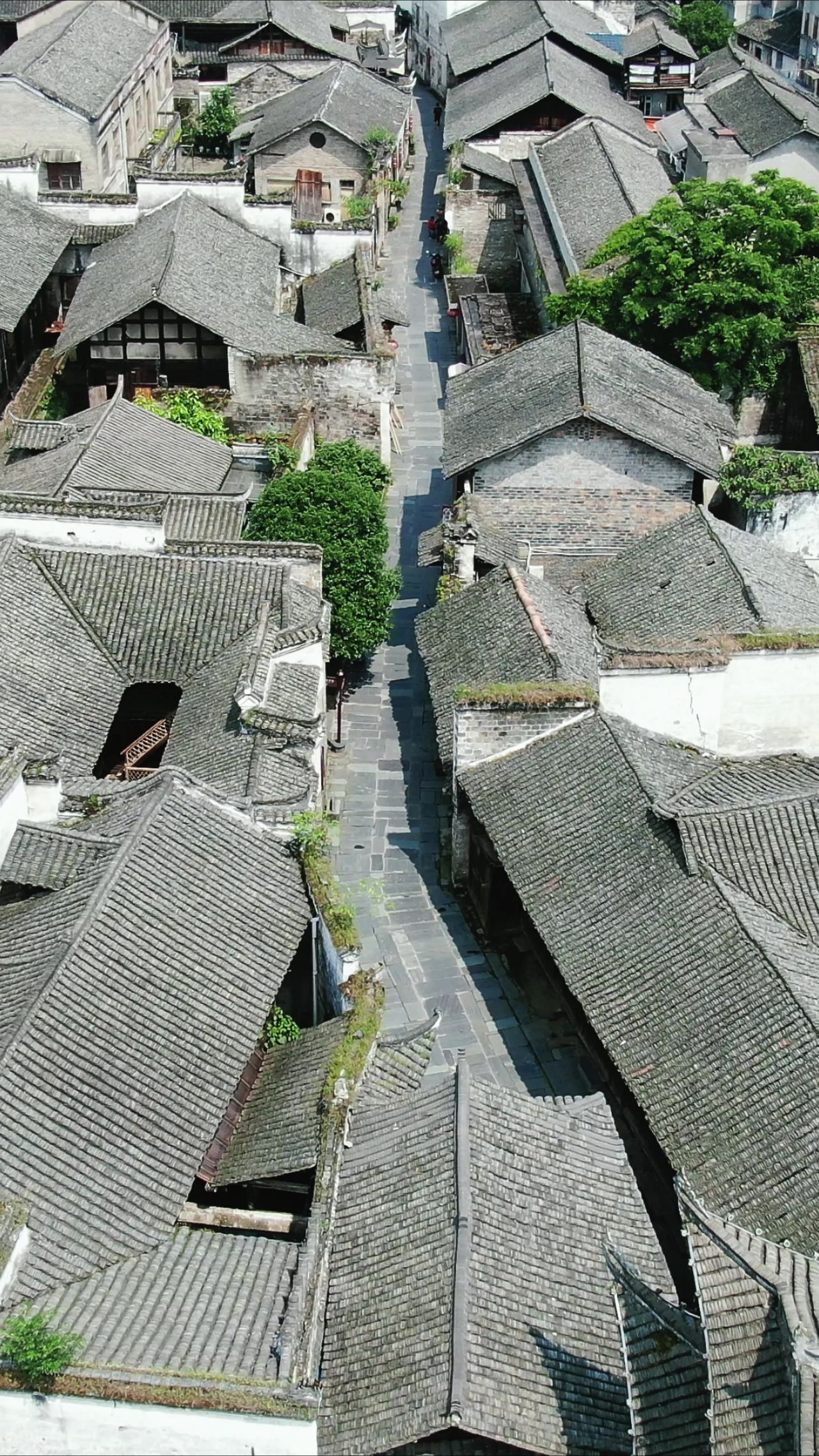 航拍湖南洪江黔阳古城4A景区竖屏