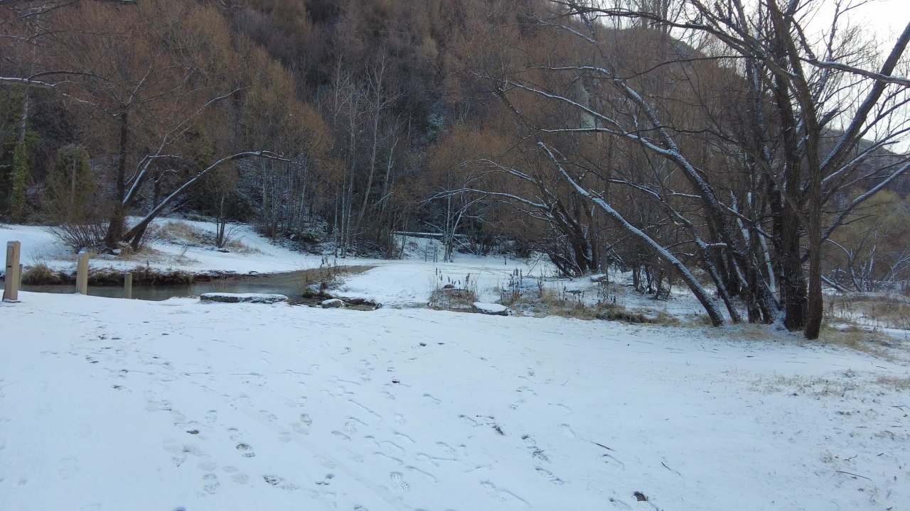 冬天在新西兰皇后镇附近的箭镇森林雪地里行走 2