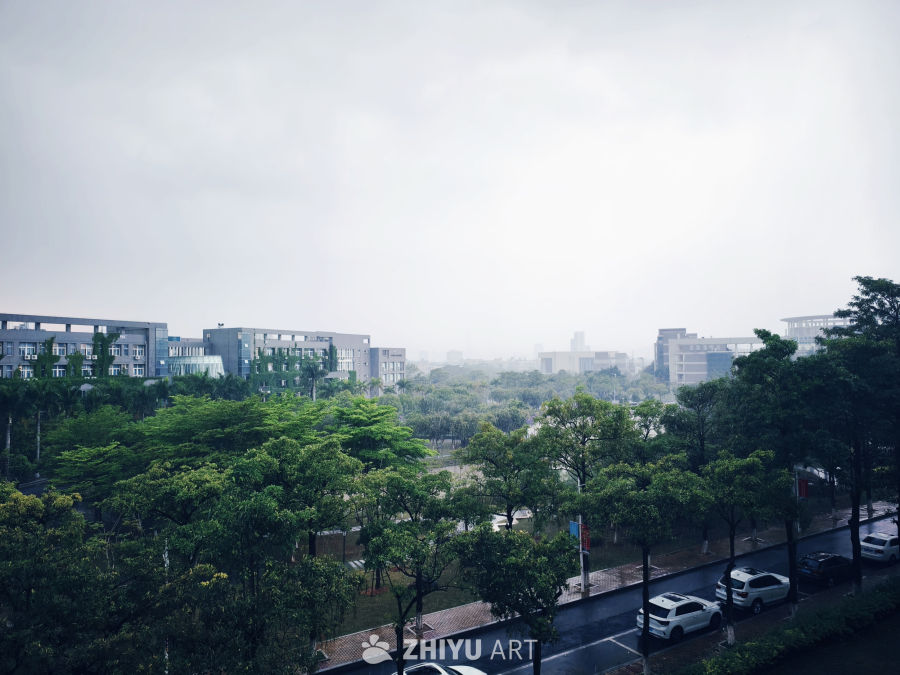 雨中城市绿意盎然