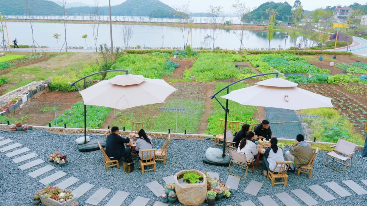 湖畔花园户外用餐