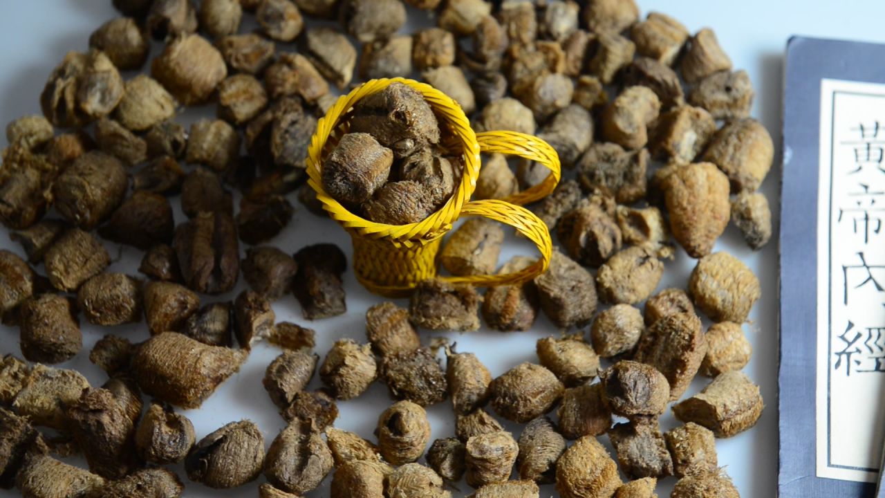 中药材桑螵蛸 28