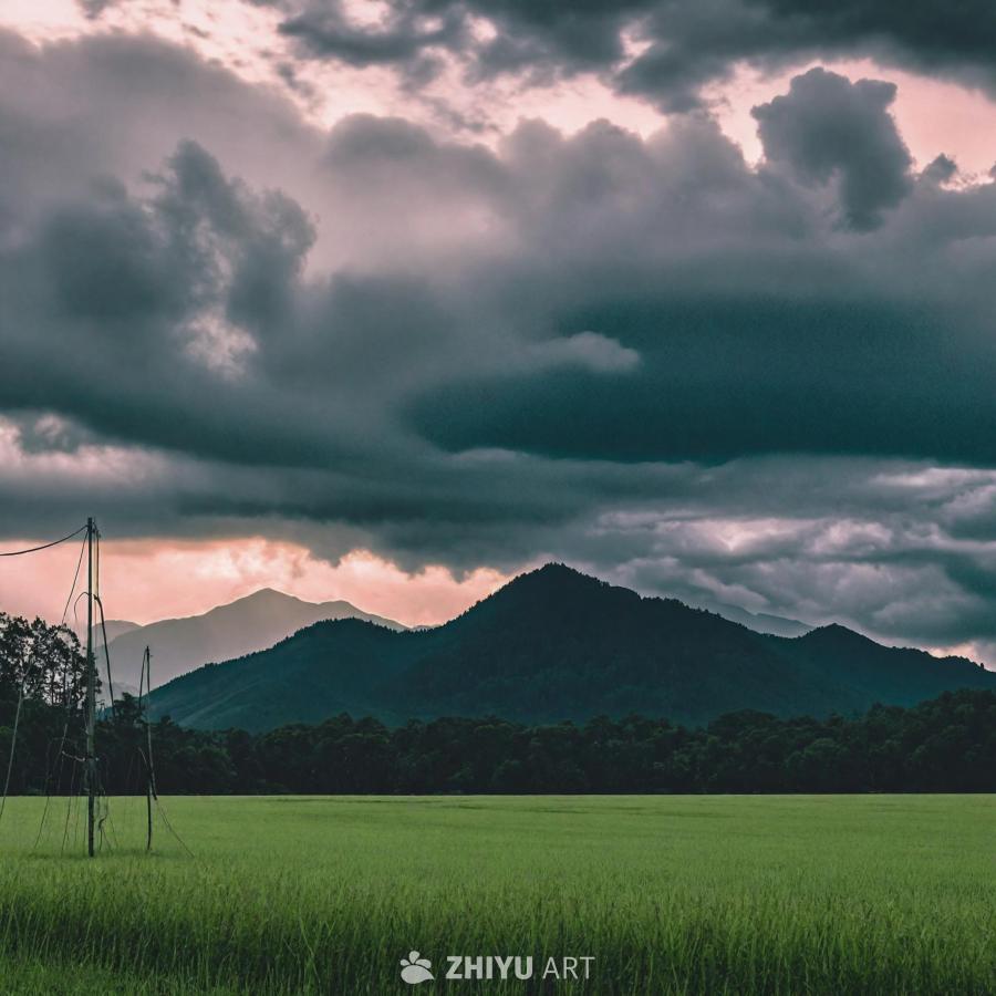 广阔的草地占据了大部分画面，远处可见一座山，山上覆