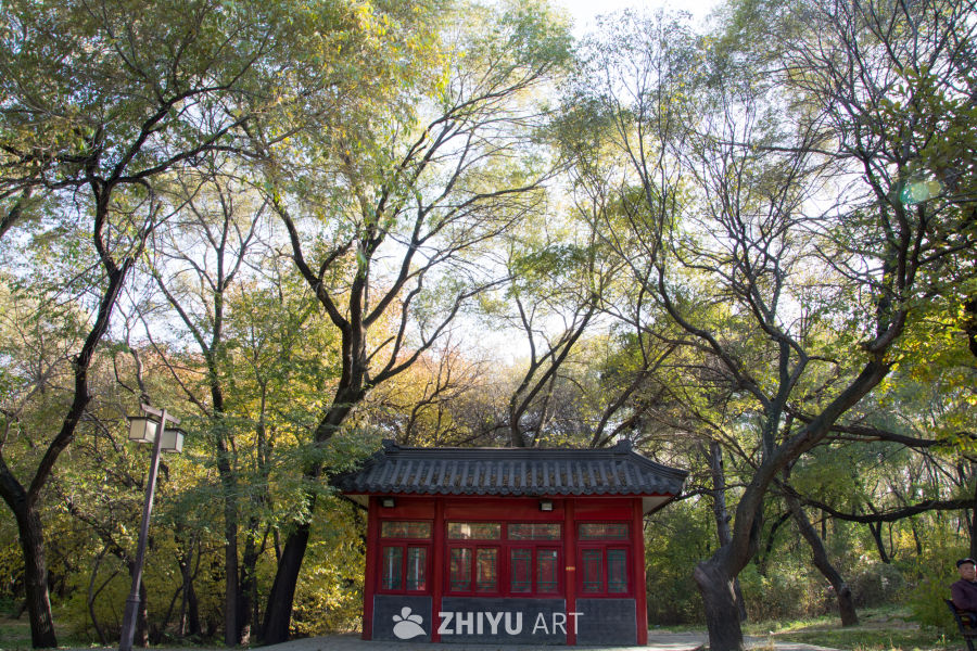 城市公园秋景