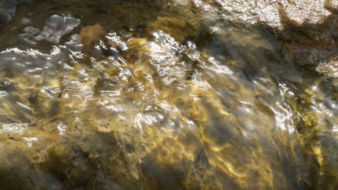 山泉水矿泉水潺潺小溪流水瀑布 3