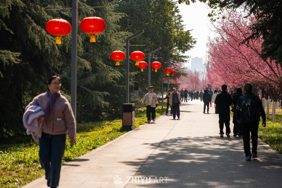 踏青赏花好去处
