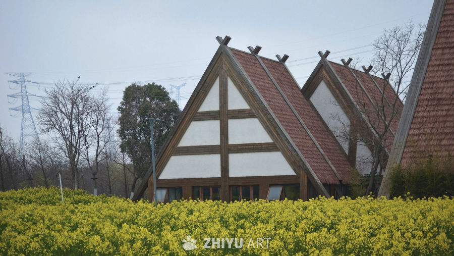 阴天洋房油菜花