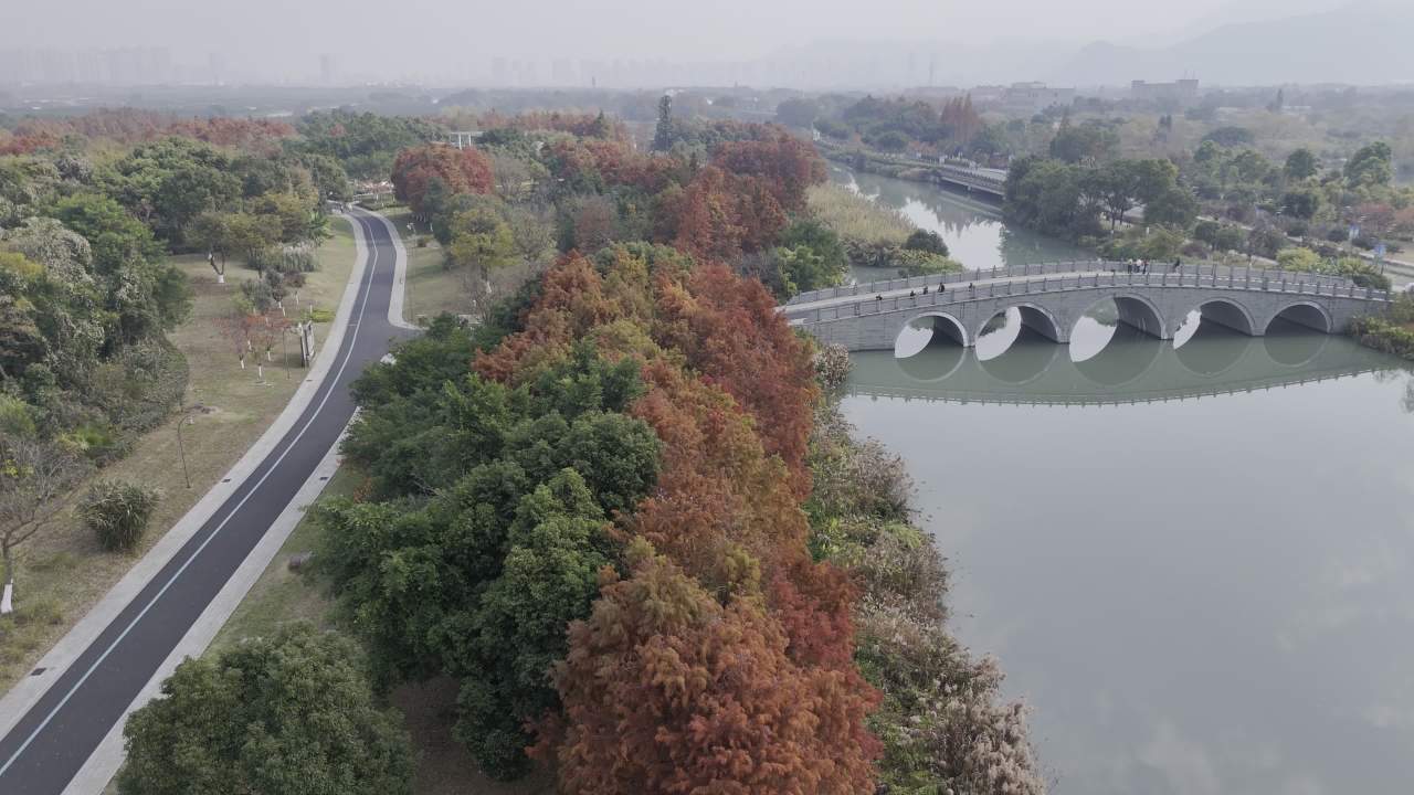 冬日的湿地 20