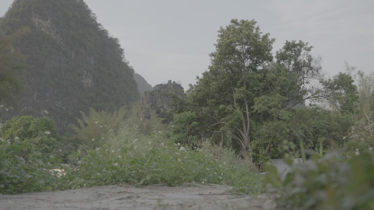自行车 14