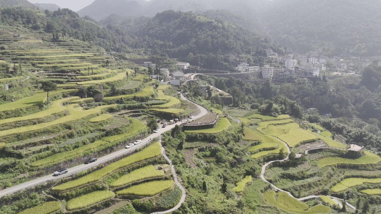 温州中雁荡山与梯田水稻 8