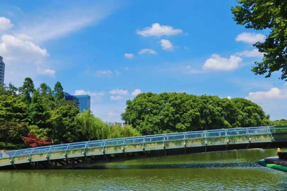 晴空之下的常州红梅公园