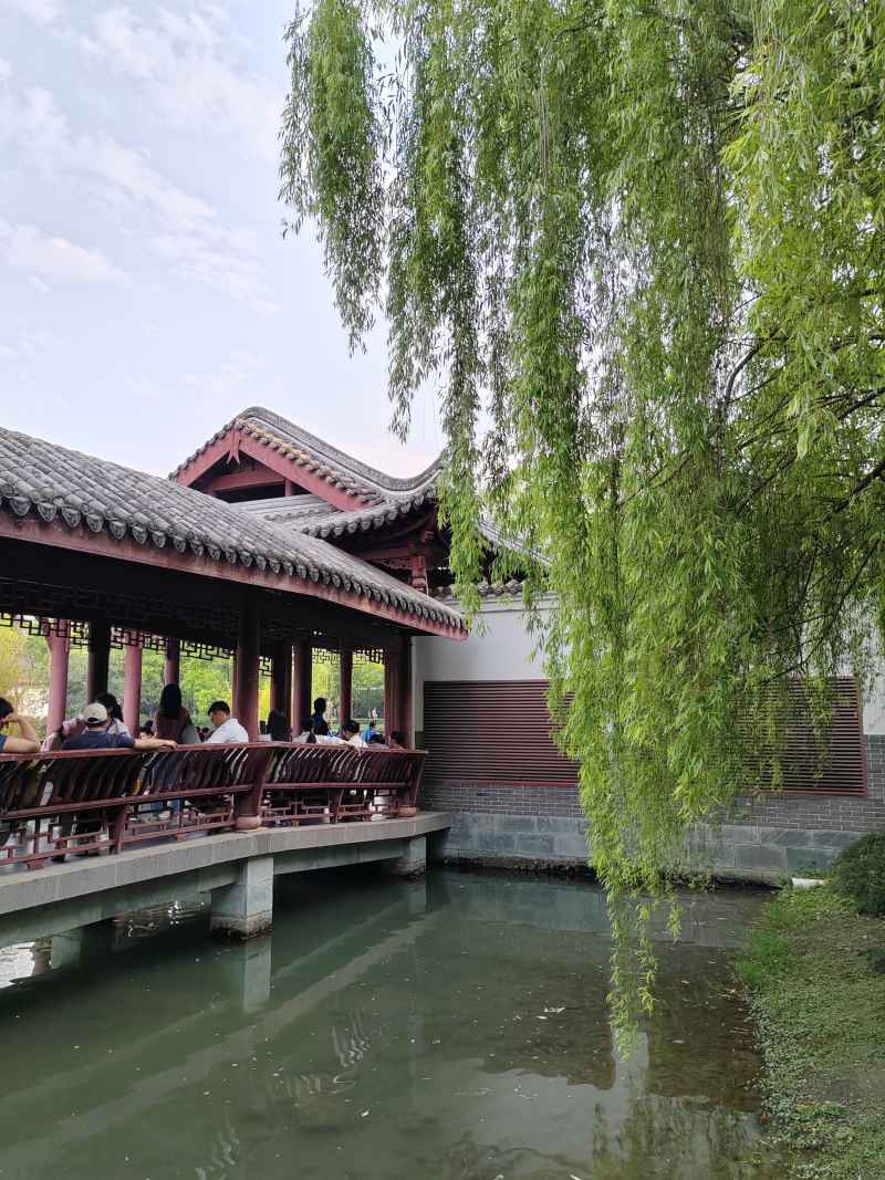 垂柳