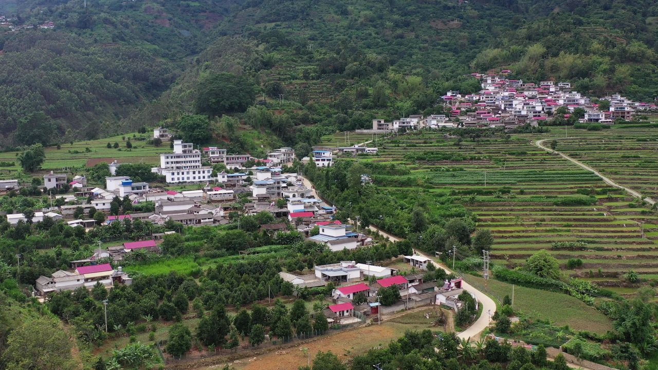 坚果基地 4