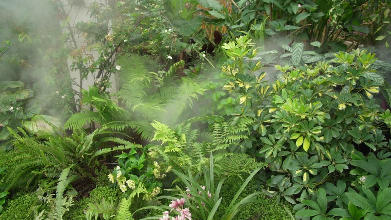 园林里的花花草草 6