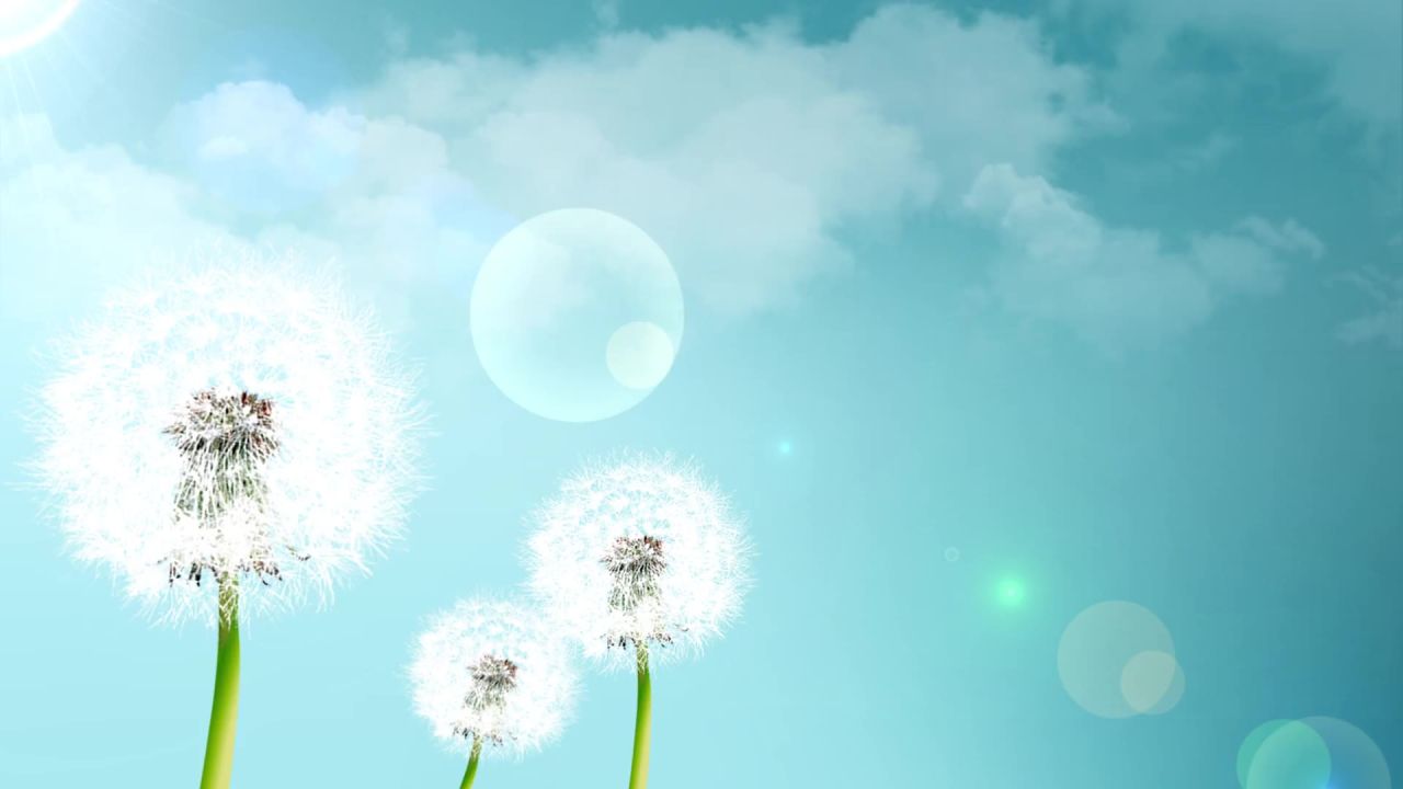 小清新蒲公英梦幻粒子led视频素材 9