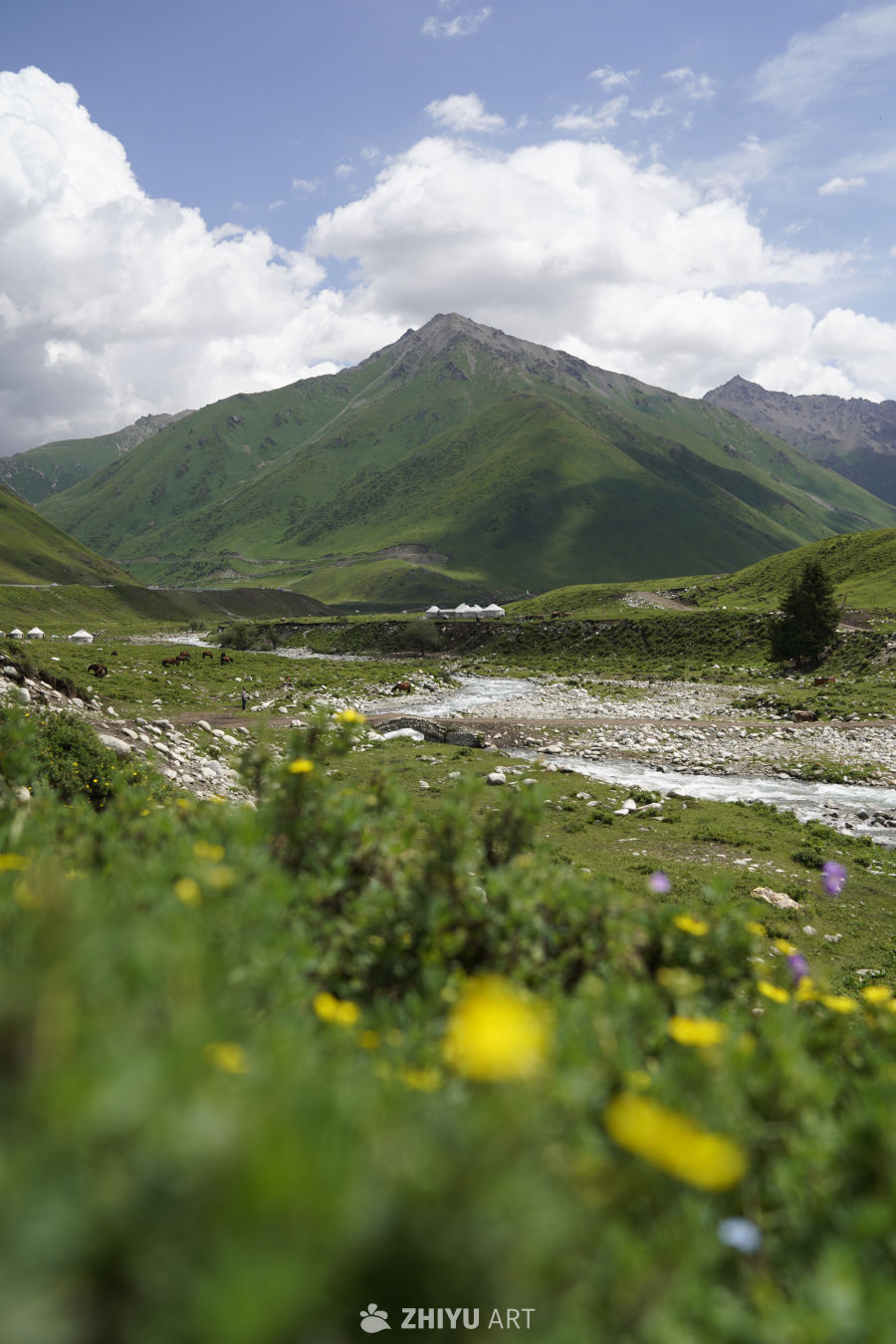 高山溪流与帐篷