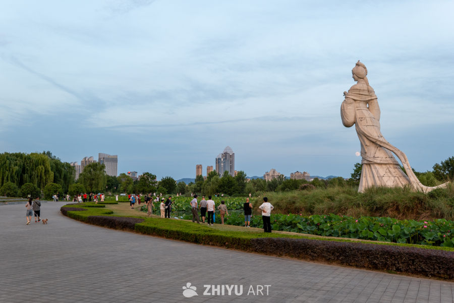 古楼荷花 50