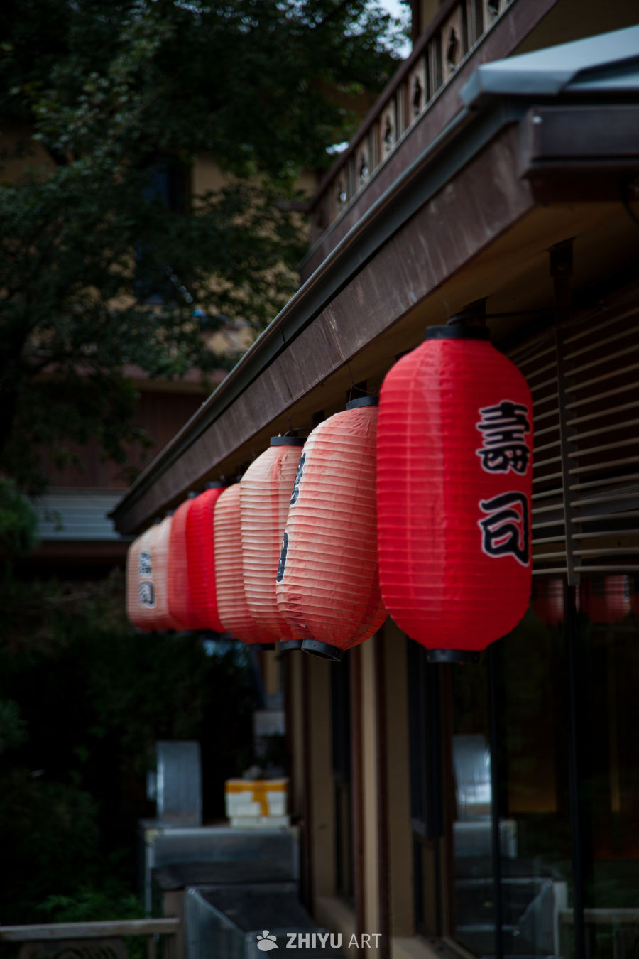 和风 6