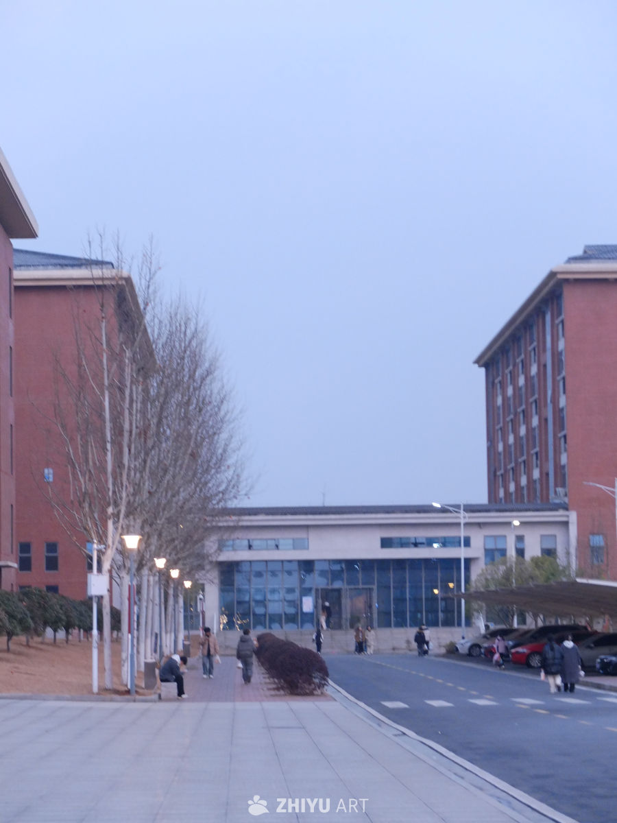 大学 16