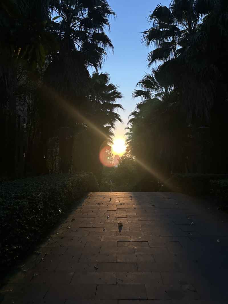 风景