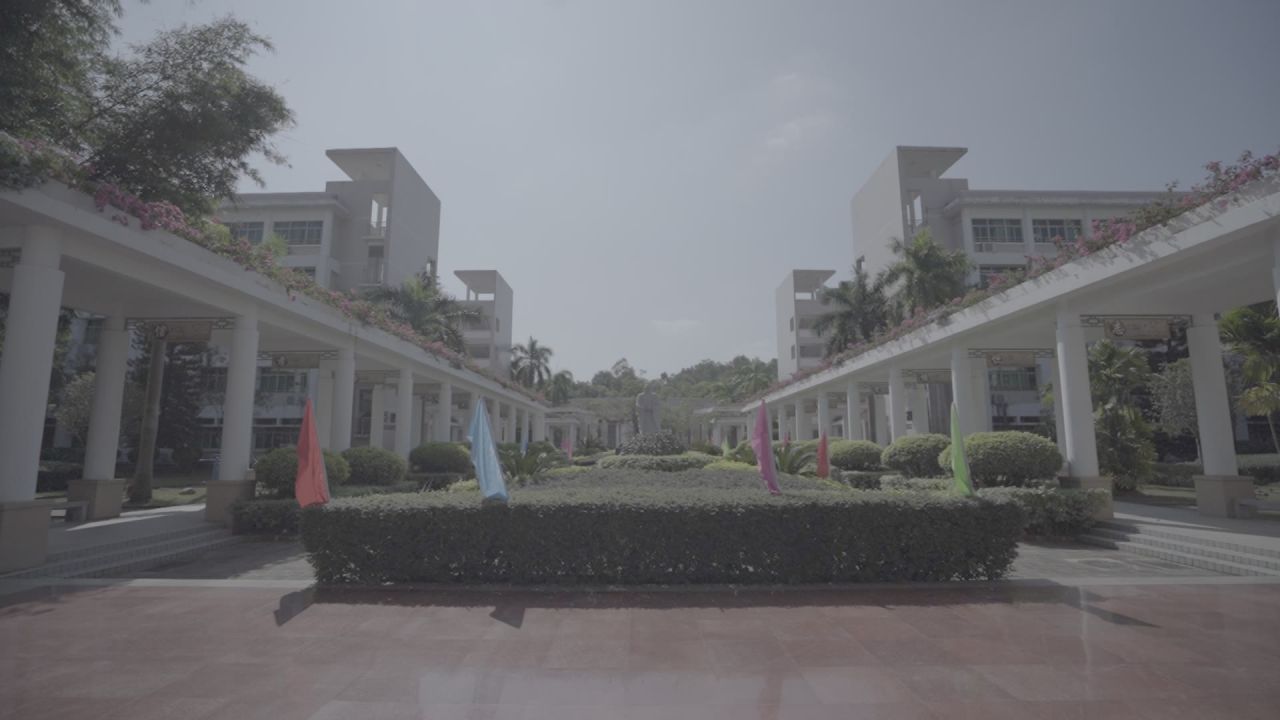 学校环境的空镜 21