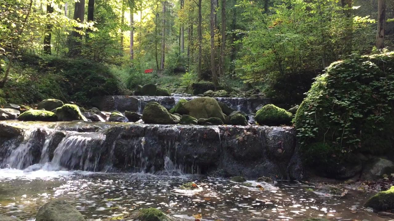 大瀑布自然景区秋天