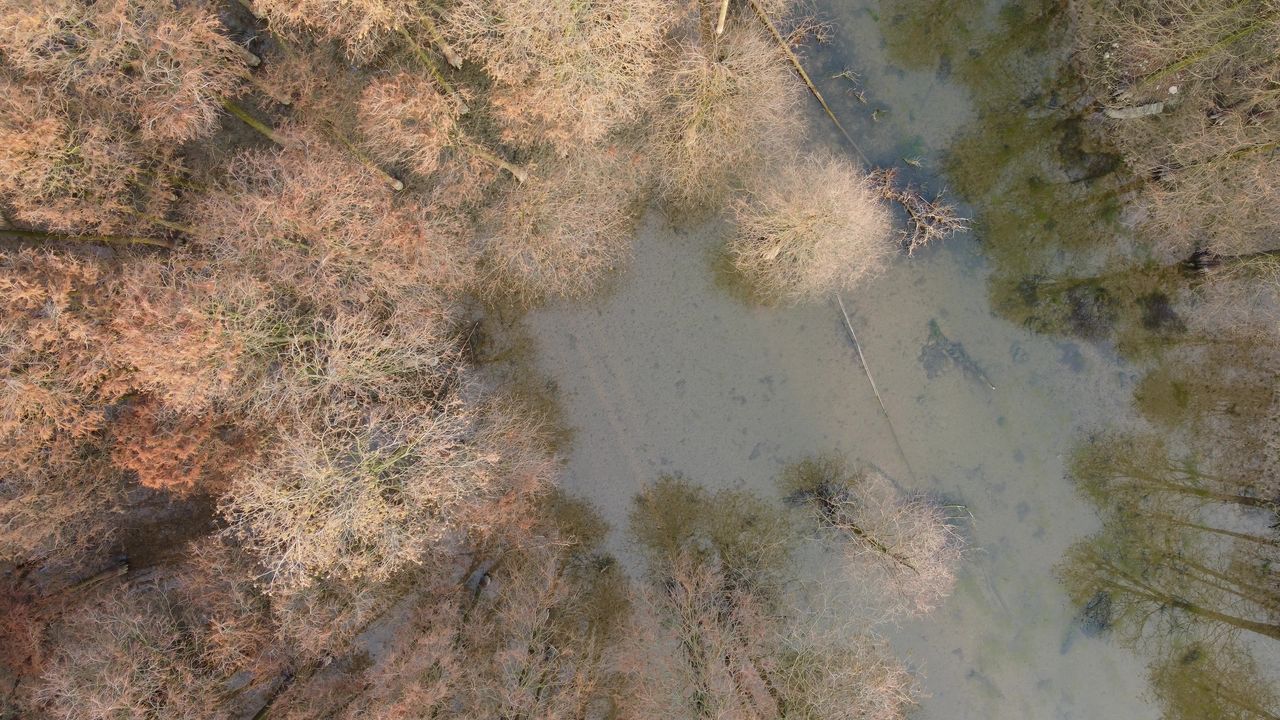 石井水库
