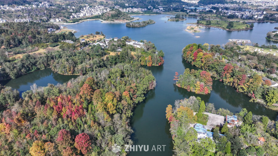 航拍水边枫叶美景  初冬枫叶似火 18