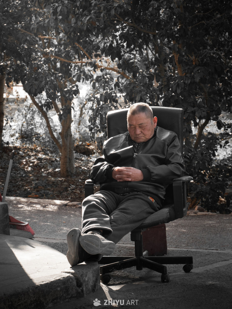 老人的午后宁静时光