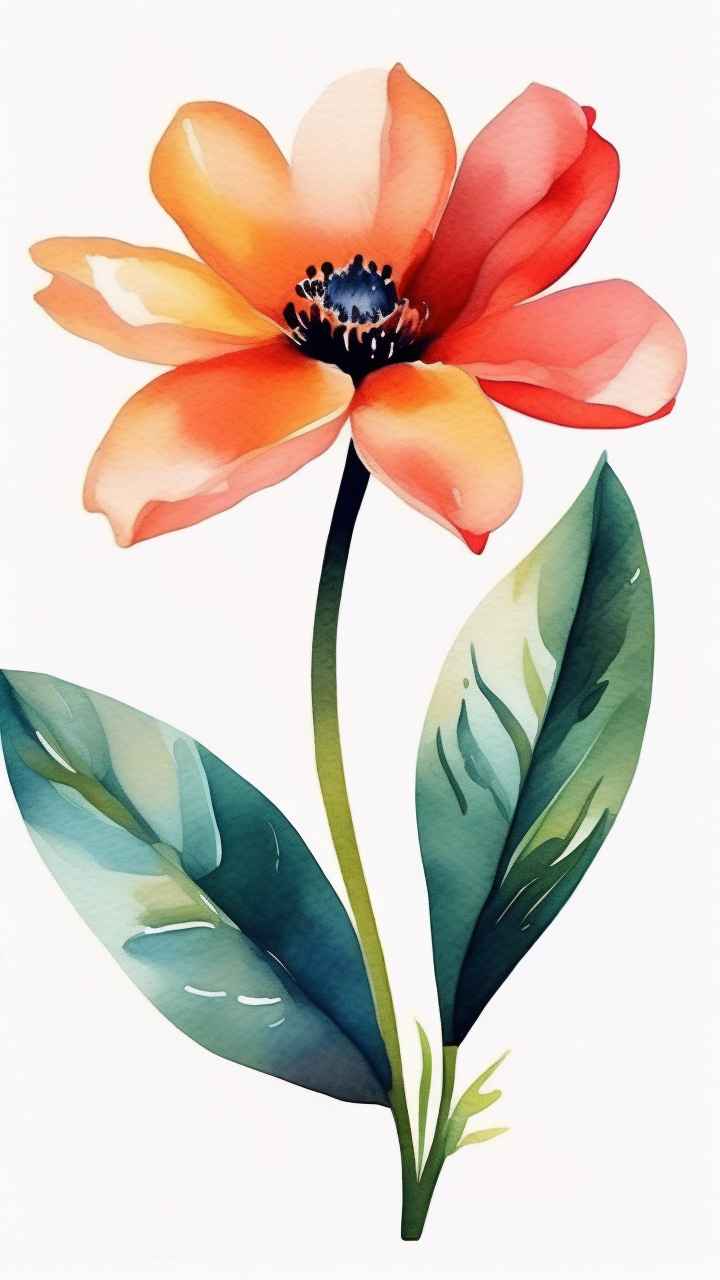 花朵植物插画背景 15
