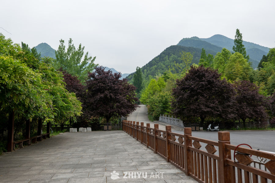 森林公园 18
