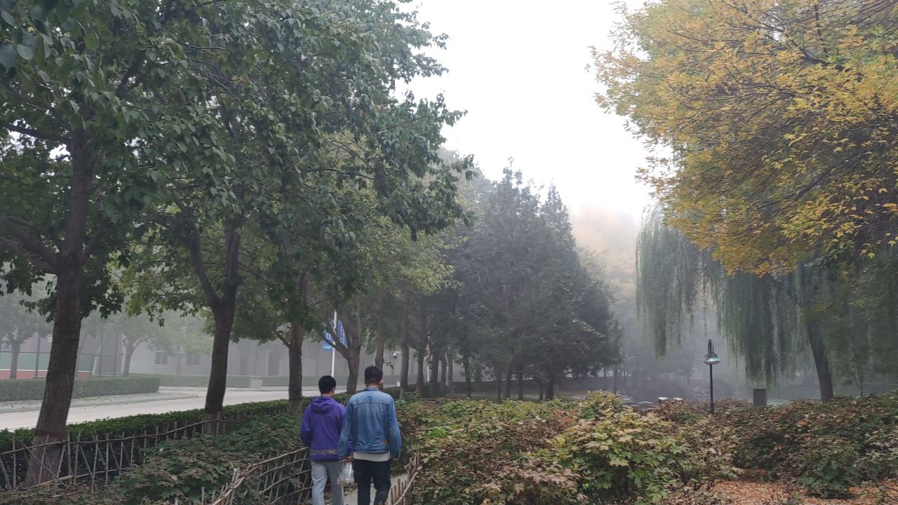 大学 保定 20