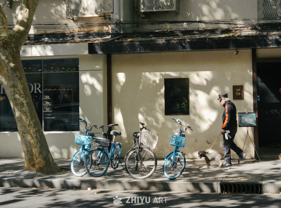 光影斑驳的上海街头