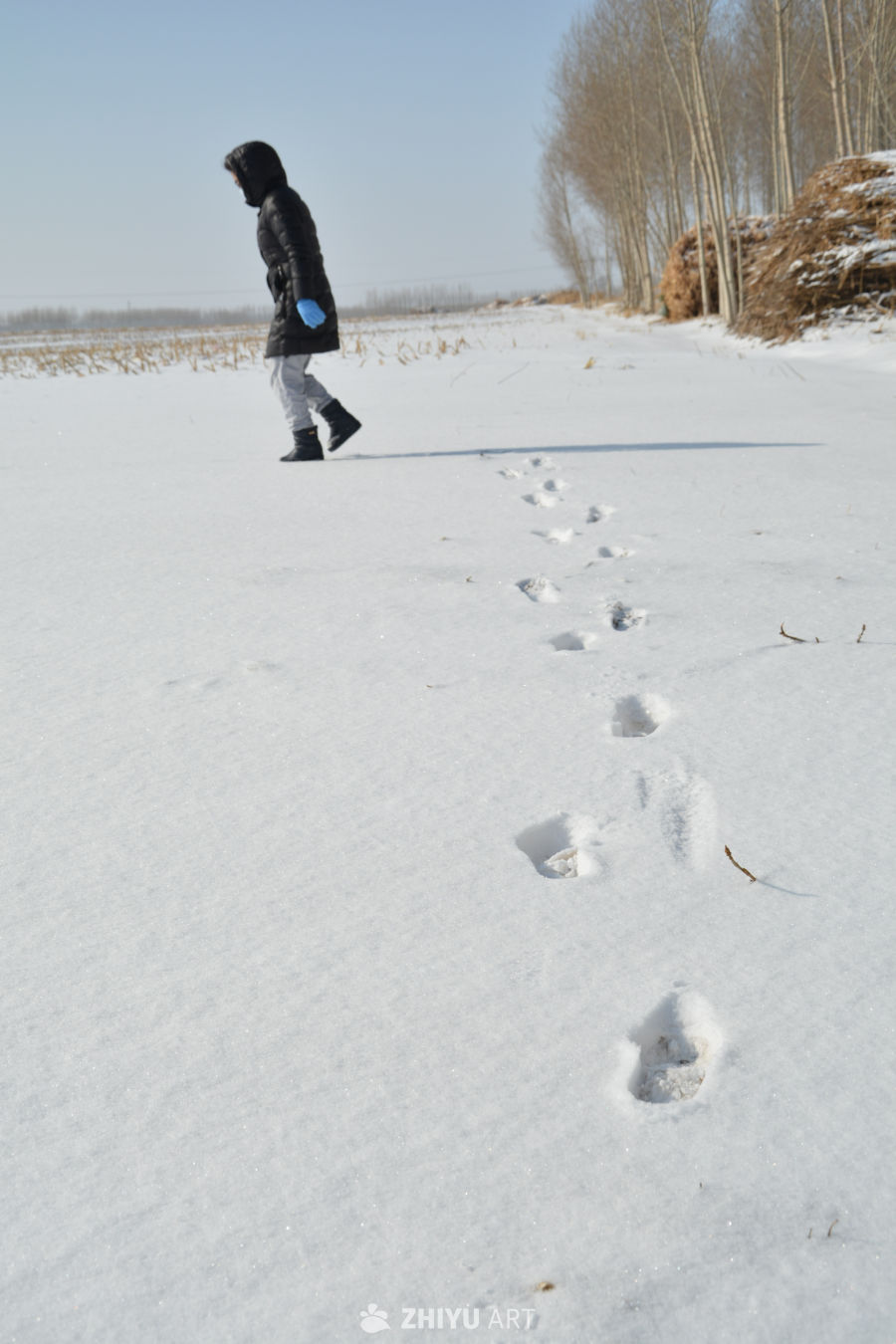 雪地上玩雪的女人