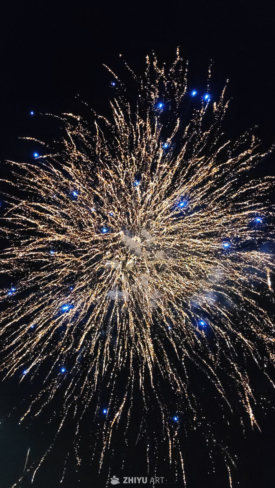 烟花绽放的瞬间
