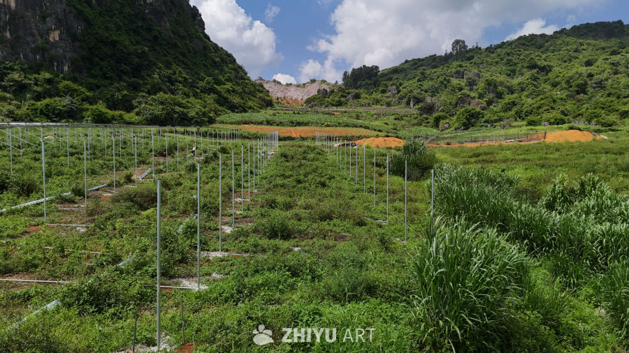 山间梯田与自然风光