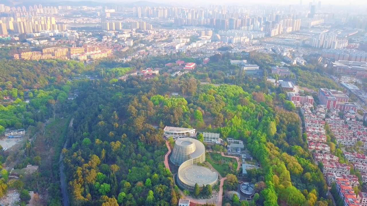 昆明植物园-9 9