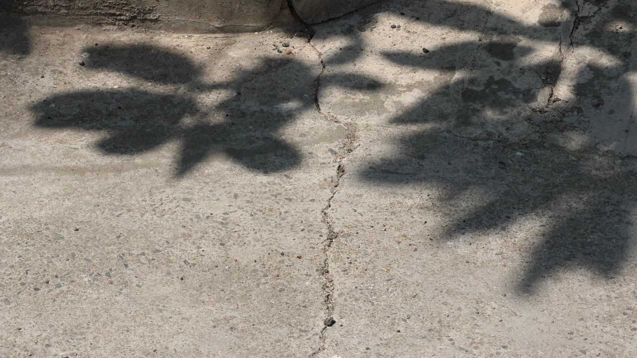 4K阳光树影地面