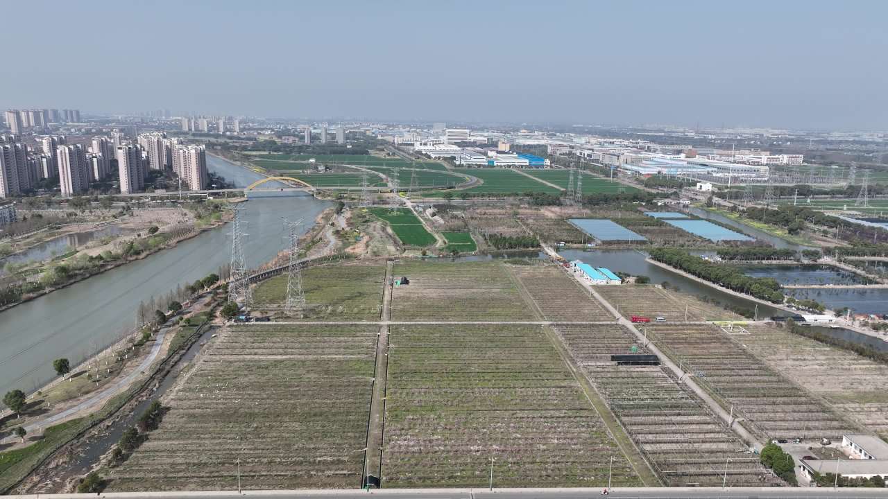 航拍农田果园景观 1